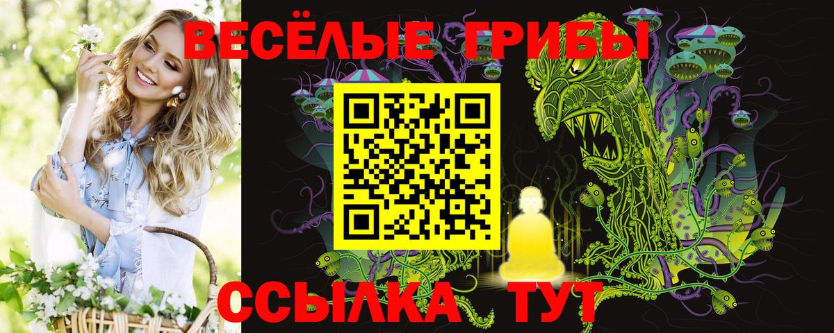Канаш  Бошки Шишки  Вход с VPN  Метамфетамин  Экстази  Кокаин  ГАШ  Мефедрон  