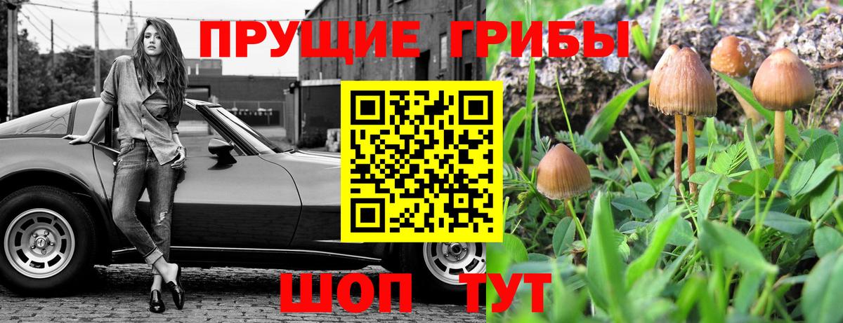 что такое наркотик  Вход с VPN  Канаш  Псилоцибиновые грибы ЛСД 