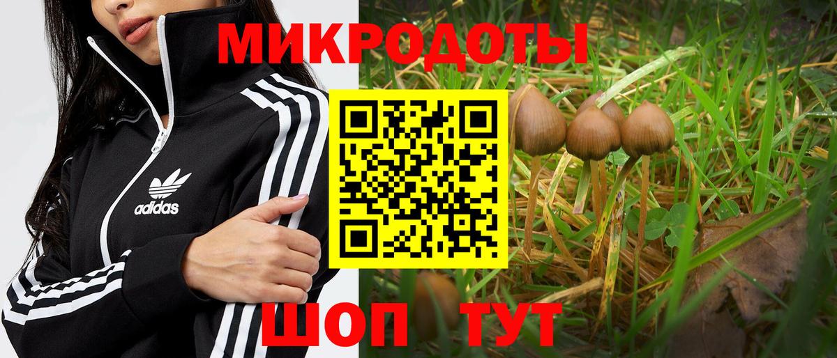 Псилоцибиновые грибы MAGIC MUSHROOMS Канаш
